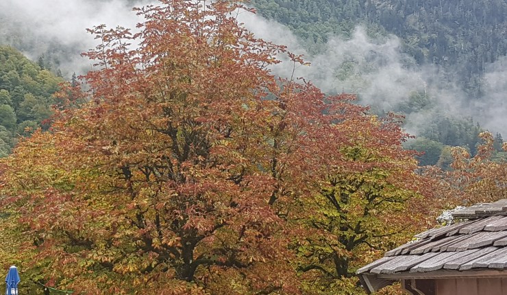 Tulossa ilmastovaalit – vai ei sittenkään?